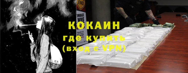 прущие грибы Горно-Алтайск