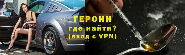 прущие грибы Горно-Алтайск