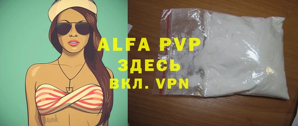 прущие грибы Горно-Алтайск