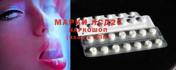 прущие грибы Горно-Алтайск