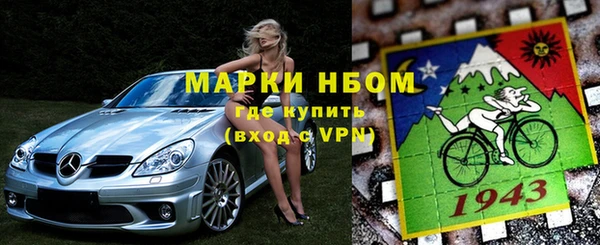 прущие грибы Горно-Алтайск