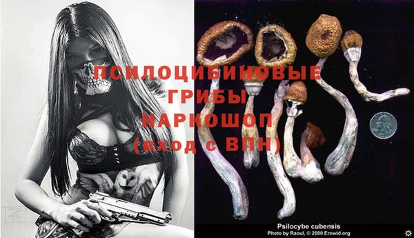бутират Горнозаводск