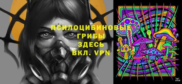 бутират Горнозаводск