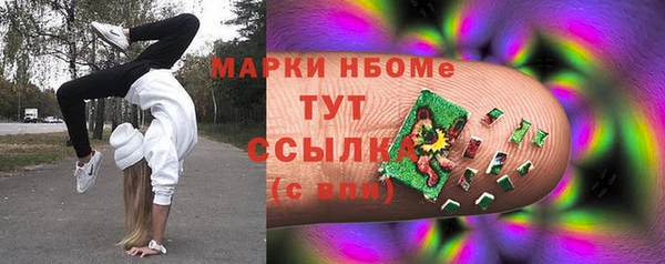 прущие грибы Горно-Алтайск