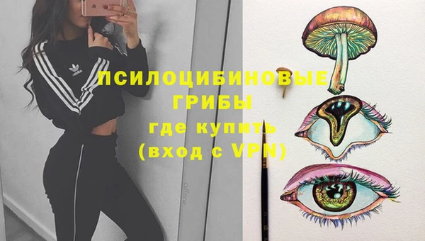бутират Горнозаводск