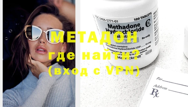 прущие грибы Горно-Алтайск