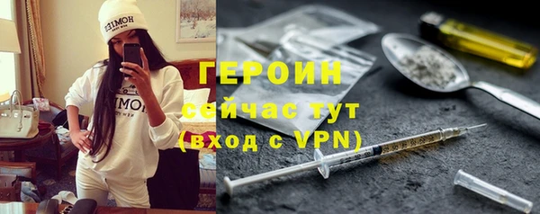 прущие грибы Горно-Алтайск