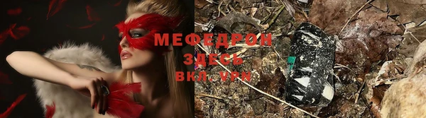 прущие грибы Горно-Алтайск