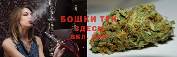 прущие грибы Горно-Алтайск